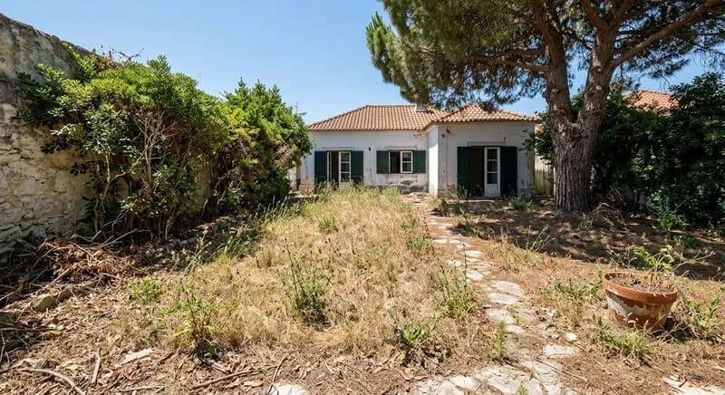 Jardim de moradia ao abandono: relvado crescido com zonas secas e sebe sem forma